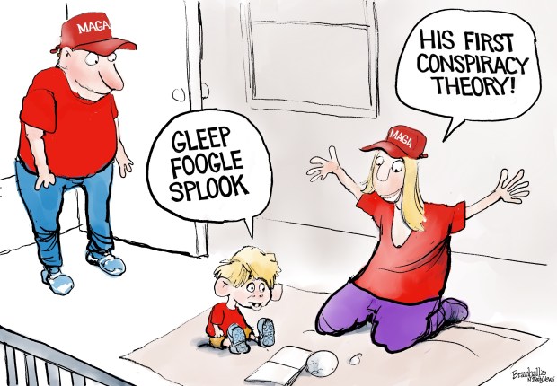 Bramhall cartoons for 2020 – New York Daily News