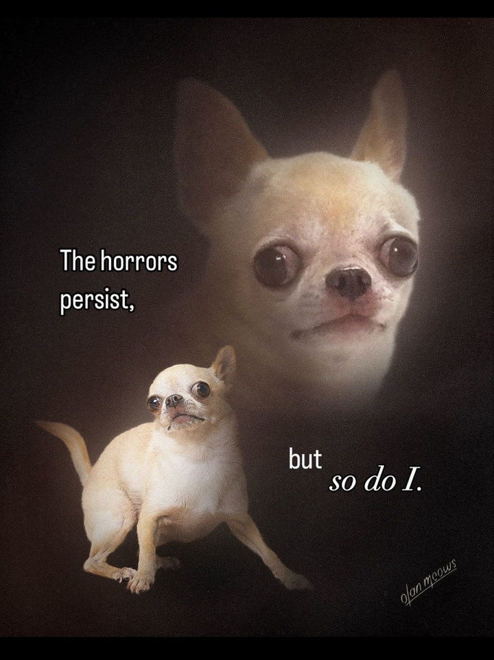 CEBV Weekly: 2025 Preview Edition