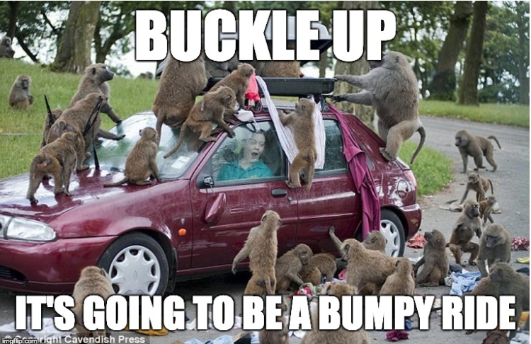 CEBV Weekly: April 1, 2024